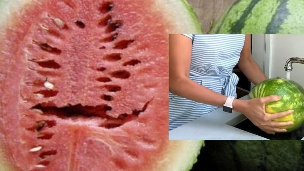 Pepenele verde ascunde un secret periculos care îți poate distruge sănătatea Pepenele verde