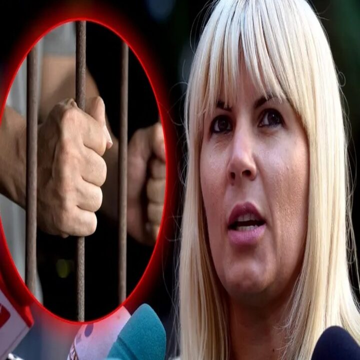Ce s-a întâmplat cu Elena Udrea după eliberare Elena Udrea