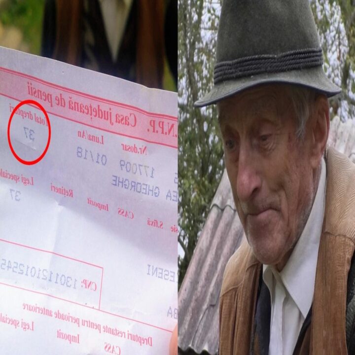 Ce pensie primește un român cu 1 zi de muncă pensie
