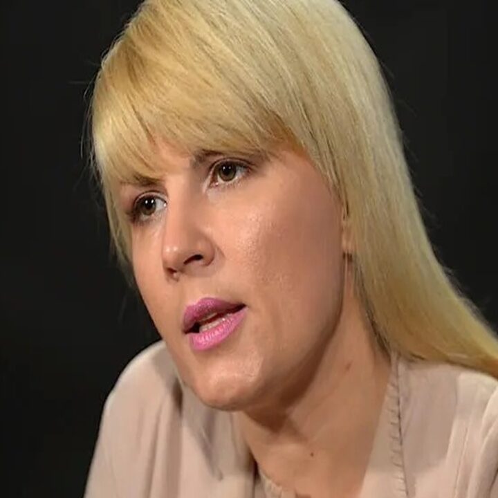 Totul s-a întâmplat în această dimineață, Elena Udrea Elena Udrea