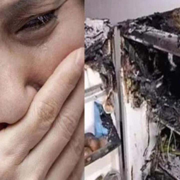 S-a confirmat! Cel mai mare pericol din bucătărie nu este cuțitul, ci congelatorul