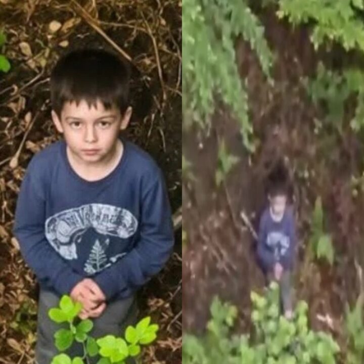 Detaliul-cheie din teren care a complicat dramatic căutările băiatului de 5 ani